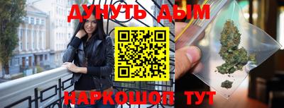крисы Кингисепп