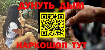 крисы Кингисепп