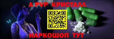 крисы Кингисепп
