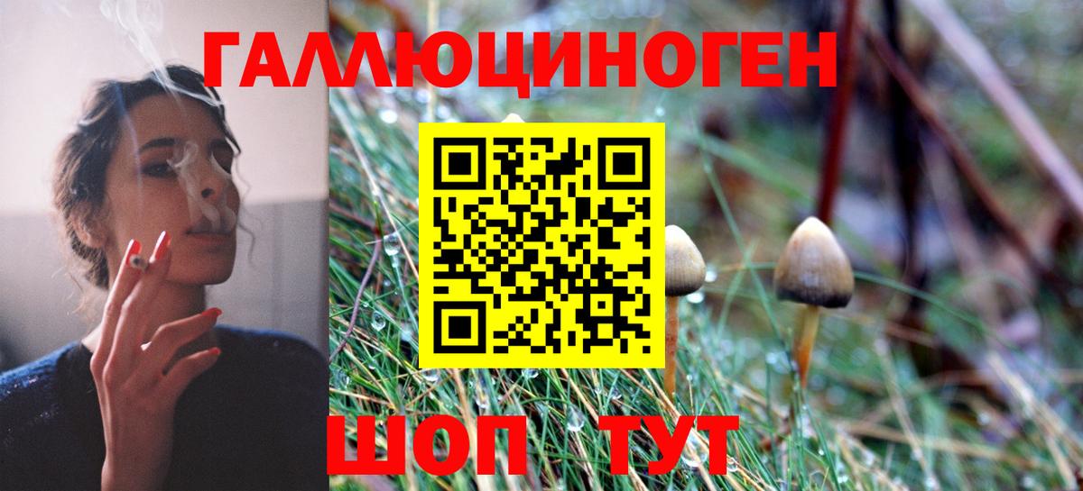 Красный Сулин  Псилоцибиновые грибы мухоморы  Вход с VPN 